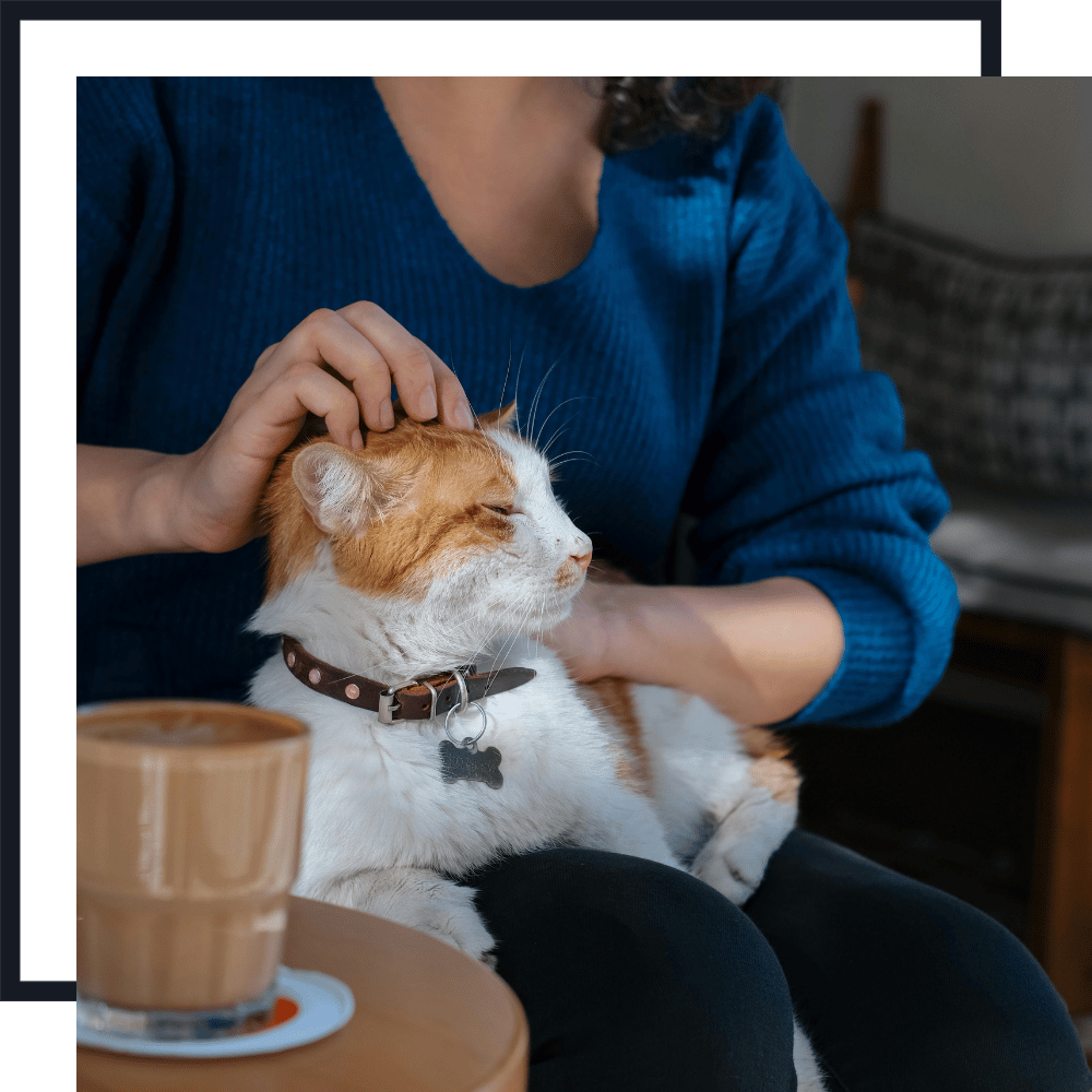 24 hour care Pet Sitting Services PET SITTING SERVICES