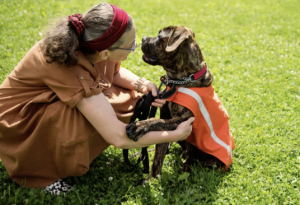 Dog wearing orange reflective safety vest with handler in Northern Virginia preparing for safe fall winter dog walking