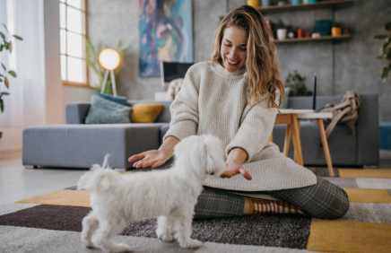 Pet parent welcoming a new puppy at home during a calm bonding moment