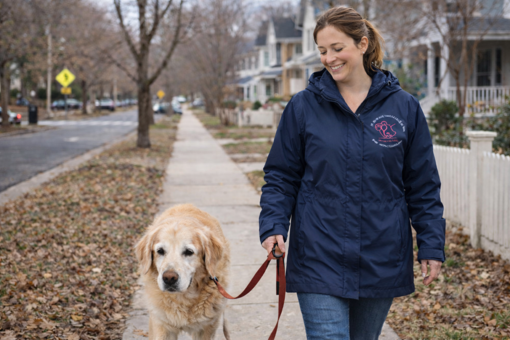 Experienced dog walker providing a calm, supportive walk for a senior dog